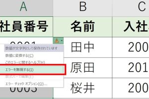 excel エラー を 無視 する 一括 エラー処理を一瞬で完了させる技