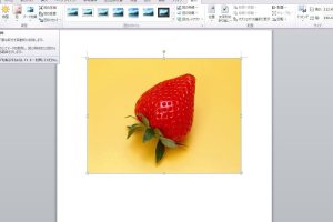Excelトリミングで画像を簡単に最適化