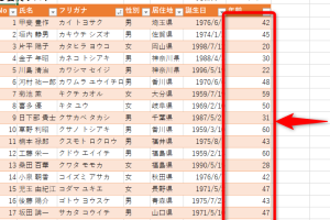 Excel年齢計算で正確な年齢を一瞬で求める