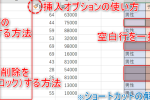 Excel挿入できない原因を即解消