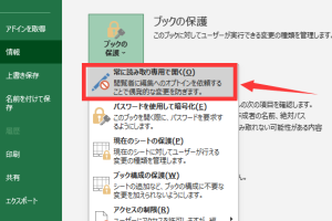 Excel読み取り専用解除で編集可能にする簡単手順